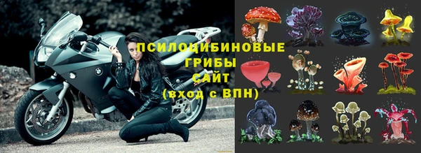 бутик Аркадак