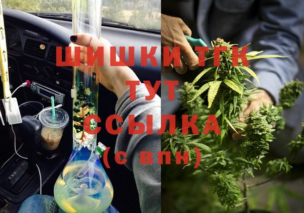 ГАЛЛЮЦИНОГЕННЫЕ ГРИБЫ Арсеньев